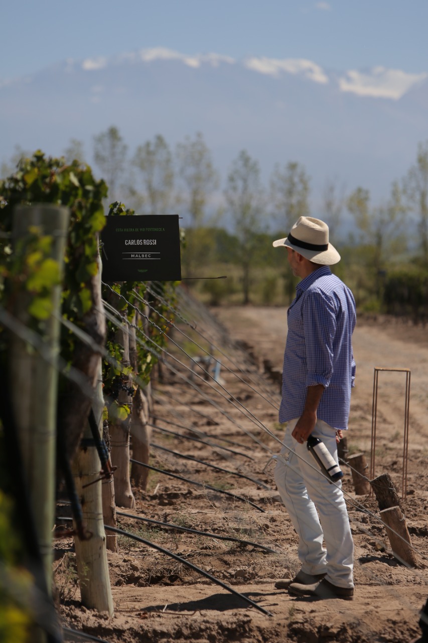 Finca Propia - Imagen 7